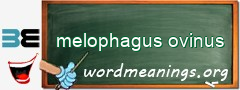 WordMeaning blackboard for melophagus ovinus